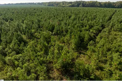 006 Young Road, Clinton, SC 29325 - Photo 9