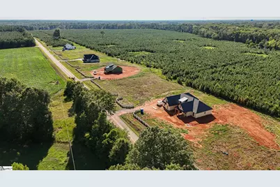 006 Young Road, Clinton, SC 29325 - Photo 7