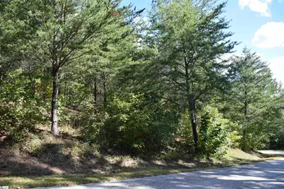 0 Holland Drive #Lot 3, Columbus, NC 28722 - Photo 1
