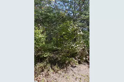 0 Holland Drive #Lot 3, Columbus, NC 28722 - Photo 15