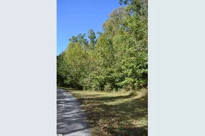 0 Holland Drive #Lot 3, Columbus, NC 28722 - Photo 5