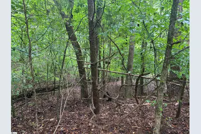 0 Lake Forest Drive, Abbeville, SC 29620 - Photo 1