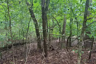 0 Lake Forest Dr, Abbeville, SC 29620 - Photo 1