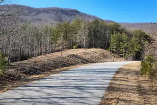 00 Birkdale Dr, Mill Spring, NC 28756 - Photo 11