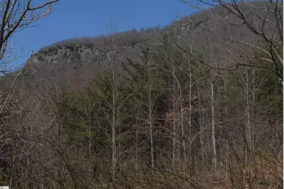 00 Birkdale Drive, Mill Spring, NC 28756 - Photo 13