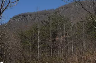 00 Birkdale Dr, Mill Spring, NC 28756 - Photo 13