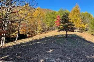 00 Birkdale Dr, Mill Spring, NC 28756 - Photo 3