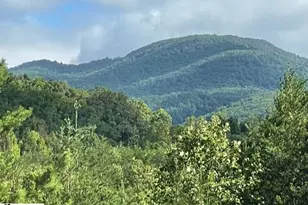 00 Birkdale Dr, Mill Spring, NC 28756 - Photo 5