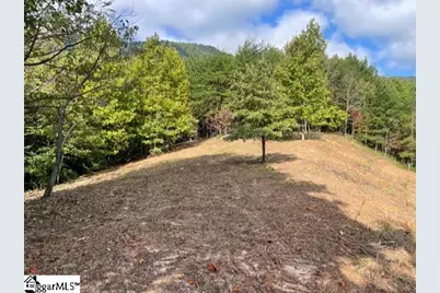 00 Birkdale Drive, Mill Spring, NC 28756 - Photo 7