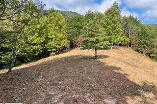 00 Birkdale Dr, Mill Spring, NC 28756 - Photo 7