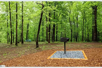 425 Tiger Lane, Westminster, SC 29693 - Photo 33