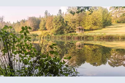 417 Pleven Way, Pelzer, SC 29669 - Photo 43