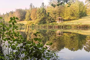 417 Pleven Wy, Pelzer, SC 29669 - Photo 43