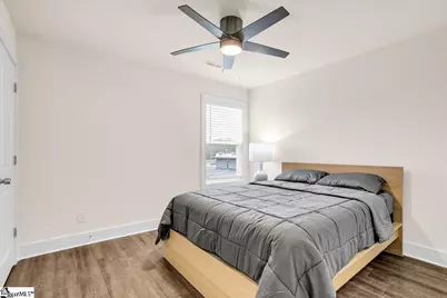 141 Baileyview Street, Greer, SC 29651 - Photo 13