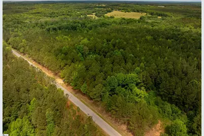 00 Elford Grove Road, Jonesville, SC 29353 - Photo 9