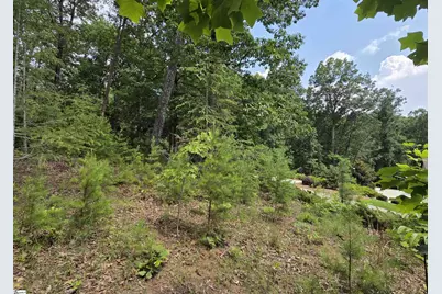 219 Luberon Lane, Travelers Rest, SC 29690 - Photo 13