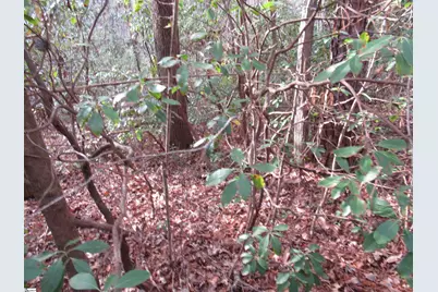 213 Falcon Crest Way, Pickens, SC 29671 - Photo 5