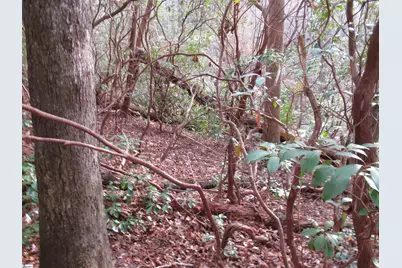 213 Falcon Crest Way, Pickens, SC 29671 - Photo 15