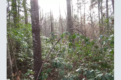 213 Falcon Crest Way, Pickens, SC 29671 - Photo 3