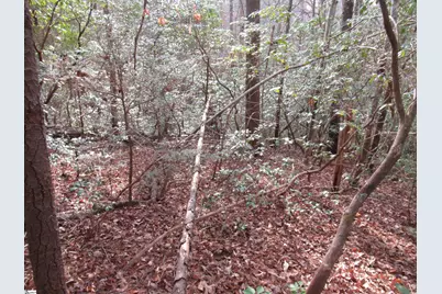 213 Falcon Crest Way, Pickens, SC 29671 - Photo 9