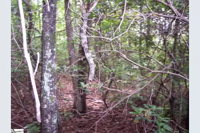 343 Gauley Falls Road #Lot 87 Gauley Falls, Pickens, SC 29671 - Photo 3