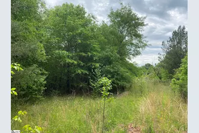 00 Wingo Road, Wellford, SC 29385 - Photo 7