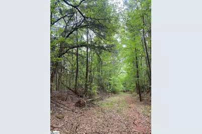 00 Wingo Road, Wellford, SC 29385 - Photo 3