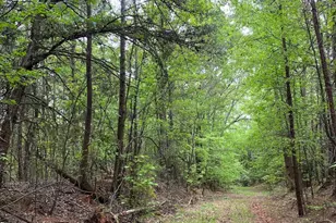 00 Wingo Rd, Wellford, SC 29385 - Photo 1
