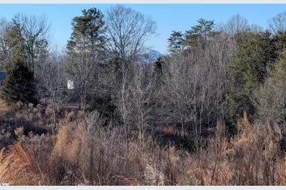 440 Old Melvin Hill Road, Campobello, SC 29322 - Photo 3