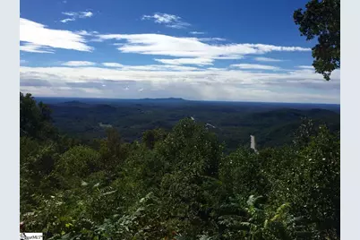 1511 Panther Park Trail, Travelers Rest, SC 29690 - Photo 5