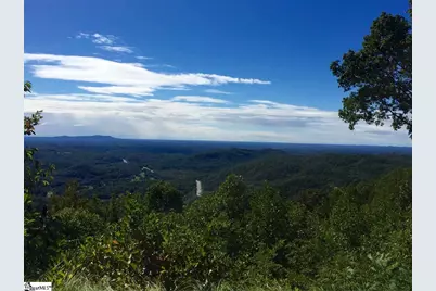 1511 Panther Park Trail, Travelers Rest, SC 29690 - Photo 3