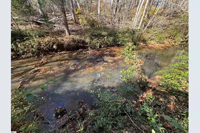 220 Wildwood Farms Road, Gray Court, SC 29645 - Photo 47
