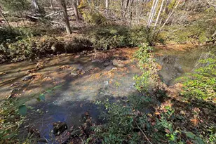 220 Wildwood Farms Rd, Gray Court, SC 29645 - Photo 47