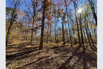 220 Wildwood Farms Road, Gray Court, SC 29645 - Photo 43