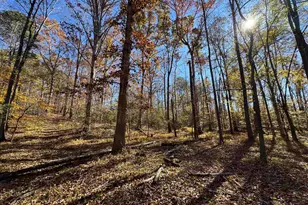220 Wildwood Farms Rd, Gray Court, SC 29645 - Photo 43