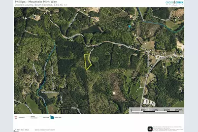 Mountain Mint Way, Salem, SC 29676 - Photo 15
