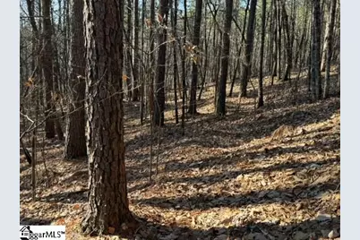 Mountain Mint Way, Salem, SC 29676 - Photo 5