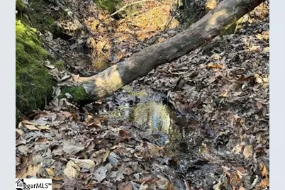 Mountain Mint Way, Salem, SC 29676 - Photo 13