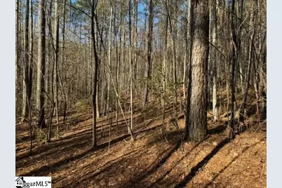 Mountain Mint Way, Salem, SC 29676 - Photo 7