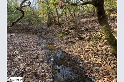 Mountain Mint Way, Salem, SC 29676 - Photo 3