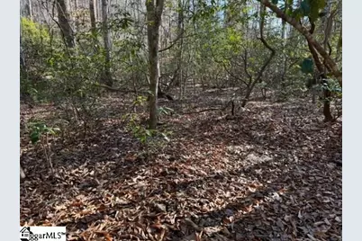 Mountain Mint Way, Salem, SC 29676 - Photo 9