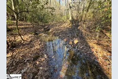 Mountain Mint Way, Salem, SC 29676 - Photo 5