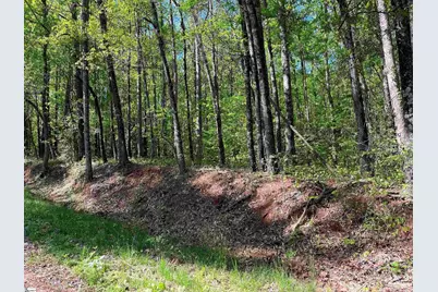 0 Simmons Street, Wellford, SC 29385 - Photo 1