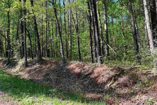 0 Simmons St, Wellford, SC 29385 - Photo 1