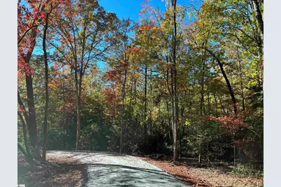 568 Meece Mill Road, Pickens, SC 29671 - Photo 35