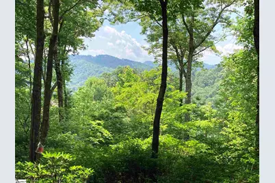 21 High Vista Way, Travelers Rest, SC 29690 - Photo 3