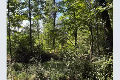 00 Porter Street, Wellford, SC 29385 - Photo 1