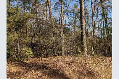 0 Sourwood Bench Court, Salem, SC 29676 - Photo 7