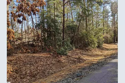 0 Sourwood Bench Court, Salem, SC 29676 - Photo 5