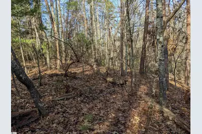 0 Sourwood Bench Court, Salem, SC 29676 - Photo 13